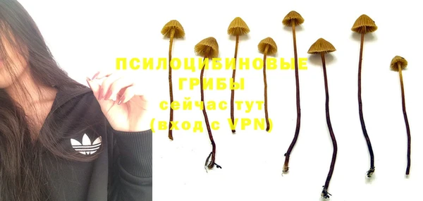 хмурый Балабаново