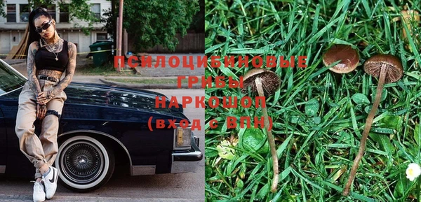 тгк Аркадак